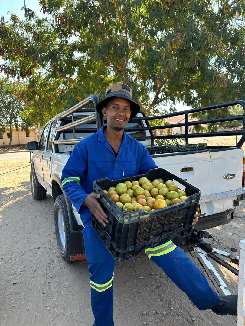 Advertise Your Products